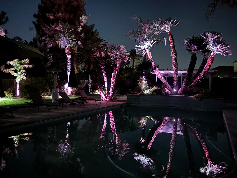 Landscape design